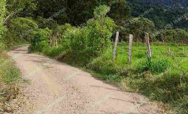 “TIERRA QUE PRODUCE, INVERSIÓN QUE CRECE” 20 mil metros dividido en potreros😊