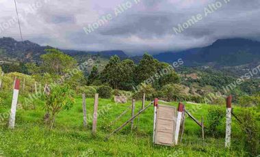 “TIERRA QUE PRODUCE, INVERSIÓN QUE CRECE” 20 mil metros dividido en potreros😊