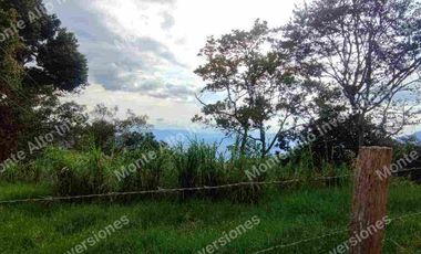 “TIERRA QUE PRODUCE, INVERSIÓN QUE CRECE” 20 mil metros dividido en potreros😊