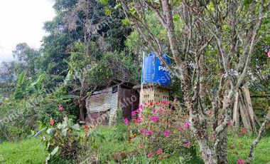 “TIERRA QUE PRODUCE, INVERSIÓN QUE CRECE” 20 mil metros dividido en potreros😊