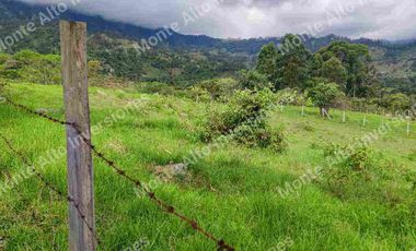“TIERRA QUE PRODUCE, INVERSIÓN QUE CRECE” 20 mil metros dividido en potreros😊