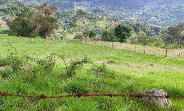 “TIERRA QUE PRODUCE, INVERSIÓN QUE CRECE” 20 mil metros dividido en potreros😊