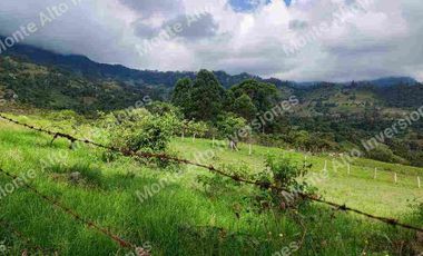 “TIERRA QUE PRODUCE, INVERSIÓN QUE CRECE” 20 mil metros dividido en potreros😊