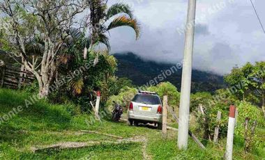 “TIERRA QUE PRODUCE, INVERSIÓN QUE CRECE” 20 mil metros dividido en potreros😊