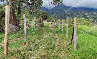 “TIERRA QUE PRODUCE, INVERSIÓN QUE CRECE” 20 mil metros dividido en potreros😊