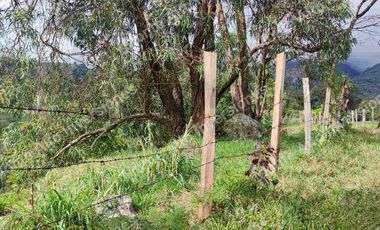 “TIERRA QUE PRODUCE, INVERSIÓN QUE CRECE” 20 mil metros dividido en potreros😊