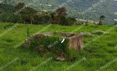 “TIERRA QUE PRODUCE, INVERSIÓN QUE CRECE” 20 mil metros dividido en potreros😊