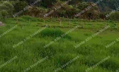 “TIERRA QUE PRODUCE, INVERSIÓN QUE CRECE” 20 mil metros dividido en potreros😊