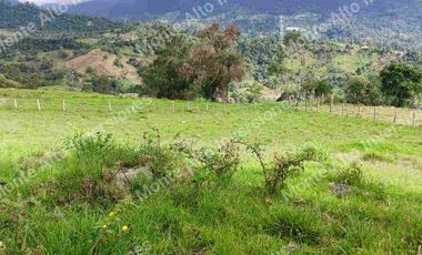 “TIERRA QUE PRODUCE, INVERSIÓN QUE CRECE” 20 mil metros dividido en potreros😊