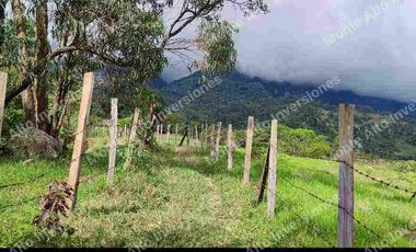 “TIERRA QUE PRODUCE, INVERSIÓN QUE CRECE” 20 mil metros dividido en potreros😊