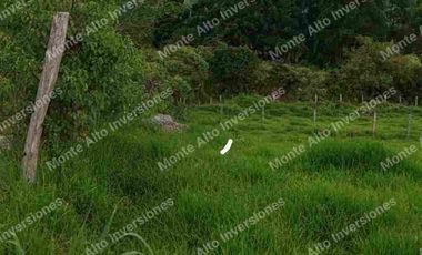 “TIERRA QUE PRODUCE, INVERSIÓN QUE CRECE” 20 mil metros dividido en potreros😊