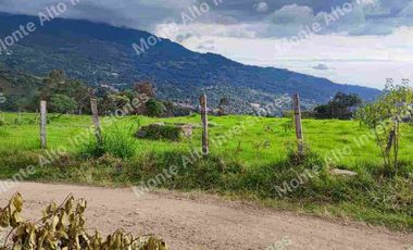 “TIERRA QUE PRODUCE, INVERSIÓN QUE CRECE” 20 mil metros dividido en potreros😊