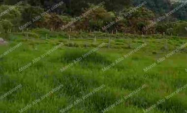 “TIERRA QUE PRODUCE, INVERSIÓN QUE CRECE” 20 mil metros dividido en potreros😊