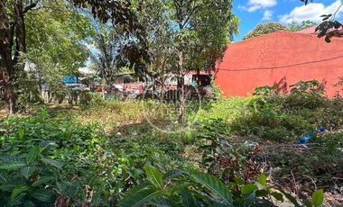 FOR SALE | PRIME VACANT LOT IN BOCAUE, BULACAN