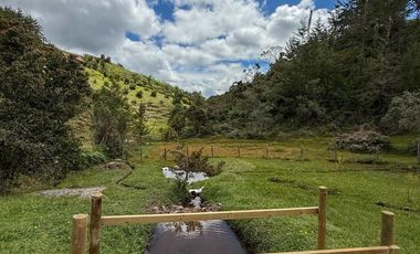 Venta finca San Vicente Antioquia