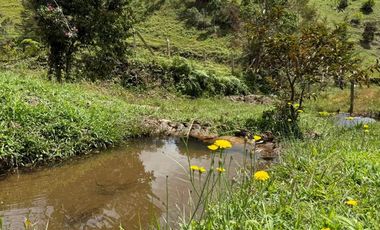 Venta finca San Vicente Antioquia
