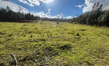 Venta de terreno en Otavalo sector San Pablo del Lago - Topo, 3653 m2