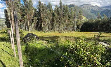 Venta de terreno en Otavalo sector San Pablo del Lago - Topo, 3653 m2