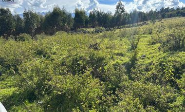 Venta de terreno en Otavalo sector San Pablo del Lago - Topo, 3653 m2