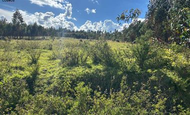 Venta de terreno en Otavalo sector San Pablo del Lago - Topo, 3653 m2