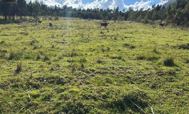 Venta de terreno en Otavalo sector San Pablo del Lago - Topo, 3653 m2