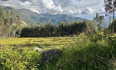 Venta de terreno en Otavalo sector San Pablo del Lago - Topo, 3653 m2