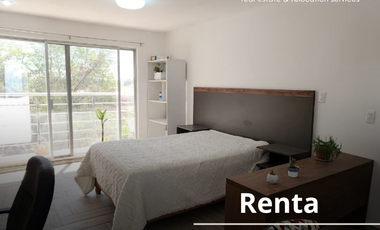 Departamento en RENTA – Col. Francisco Villa