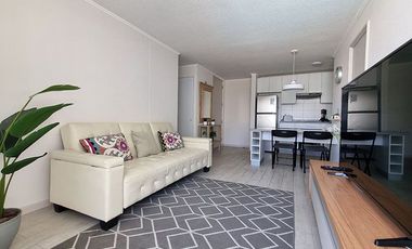 Arriendo hasta Diciembre, Condominio 