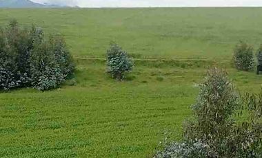Se Vende finca de 110 hectáreas En Cayambe Pichincha Ecuador para proyecto se vende en su totalidad