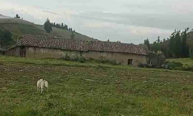 Se Vende finca de 110 hectáreas En Cayambe Pichincha Ecuador para proyecto se vende en su totalidad