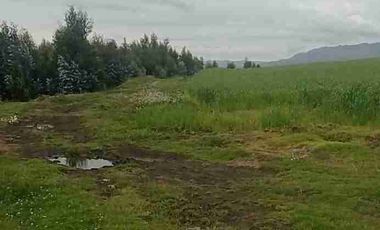 Se Vende finca de 110 hectáreas En Cayambe Pichincha Ecuador para proyecto se vende en su totalidad