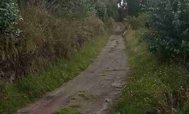 Se Vende finca de 110 hectáreas En Cayambe Pichincha Ecuador para proyecto se vende en su totalidad