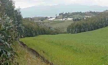 Se Vende finca de 110 hectáreas En Cayambe Pichincha Ecuador para proyecto se vende en su totalidad