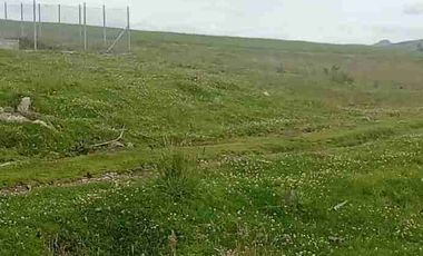 Se Vende finca de 110 hectáreas En Cayambe Pichincha Ecuador para proyecto se vende en su totalidad