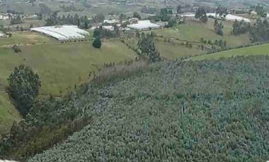 Se Vende finca de 110 hectáreas En Cayambe Pichincha Ecuador para proyecto se vende en su totalidad