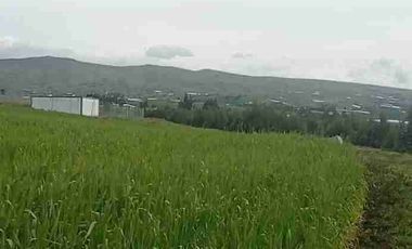Se Vende finca de 110 hectáreas En Cayambe Pichincha Ecuador para proyecto se vende en su totalidad