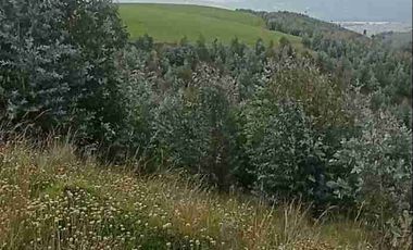 Se Vende finca de 110 hectáreas En Cayambe Pichincha Ecuador para proyecto se vende en su totalidad