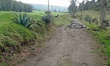 Se Vende finca de 110 hectáreas En Cayambe Pichincha Ecuador para proyecto se vende en su totalidad