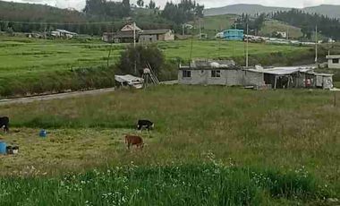 Se Vende finca de 110 hectáreas En Cayambe Pichincha Ecuador para proyecto se vende en su totalidad
