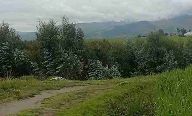 Se Vende finca de 110 hectáreas En Cayambe Pichincha Ecuador para proyecto se vende en su totalidad