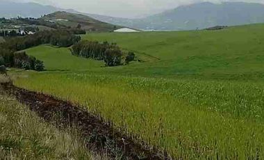 Se Vende finca de 110 hectáreas En Cayambe Pichincha Ecuador para proyecto se vende en su totalidad