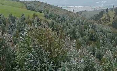 Se Vende finca de 110 hectáreas En Cayambe Pichincha Ecuador para proyecto se vende en su totalidad