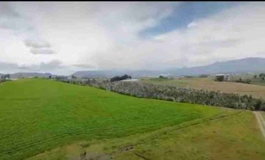 Se Vende finca de 110 hectáreas En Cayambe Pichincha Ecuador para proyecto se vende en su totalidad