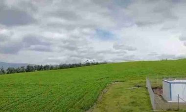 Se Vende finca de 110 hectáreas En Cayambe Pichincha Ecuador para proyecto se vende en su totalidad
