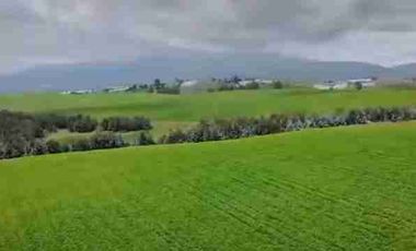 Se Vende finca de 110 hectáreas En Cayambe Pichincha Ecuador para proyecto se vende en su totalidad