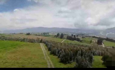 Se Vende finca de 110 hectáreas En Cayambe Pichincha Ecuador para proyecto se vende en su totalidad