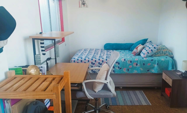Loft Luminoso en Cerro Santo Domingo: Duplex con 2D y hermosa vista
