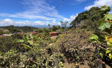 Exclusiva finca campestre en Agua Bonita – Manizales | Inversión con alto potencial