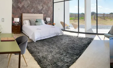 HOTEL BOUTIQUE EN CADEREYTA : Zona Centro : A Pasos de la Parroquia de San Pedro y San Pablo y Jardines Botánicos