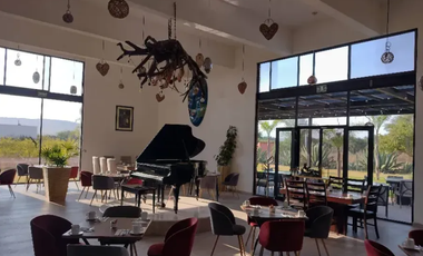 HOTEL BOUTIQUE EN CADEREYTA : Zona Centro : A Pasos de la Parroquia de San Pedro y San Pablo y Jardines Botánicos